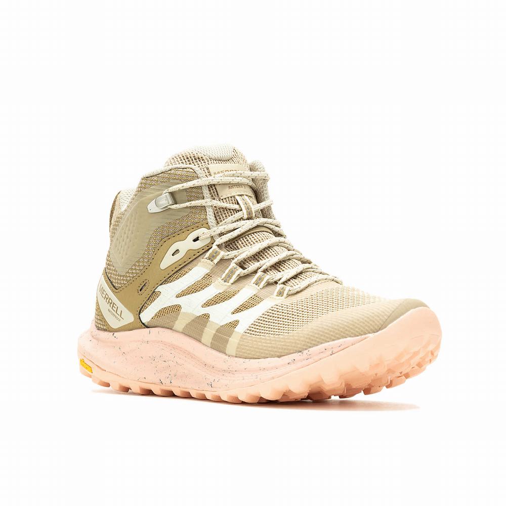 Women's Merrell Antora 3 Mid Waterproof Boots Khaki / Coral Outlet | LPYJW-8015