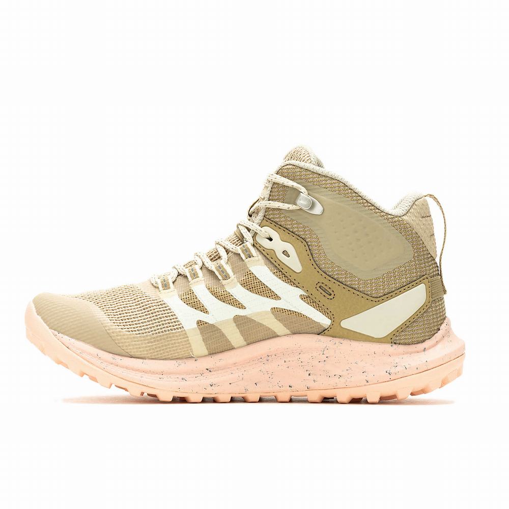 Women's Merrell Antora 3 Mid Waterproof Boots Khaki / Coral Outlet | LPYJW-8015