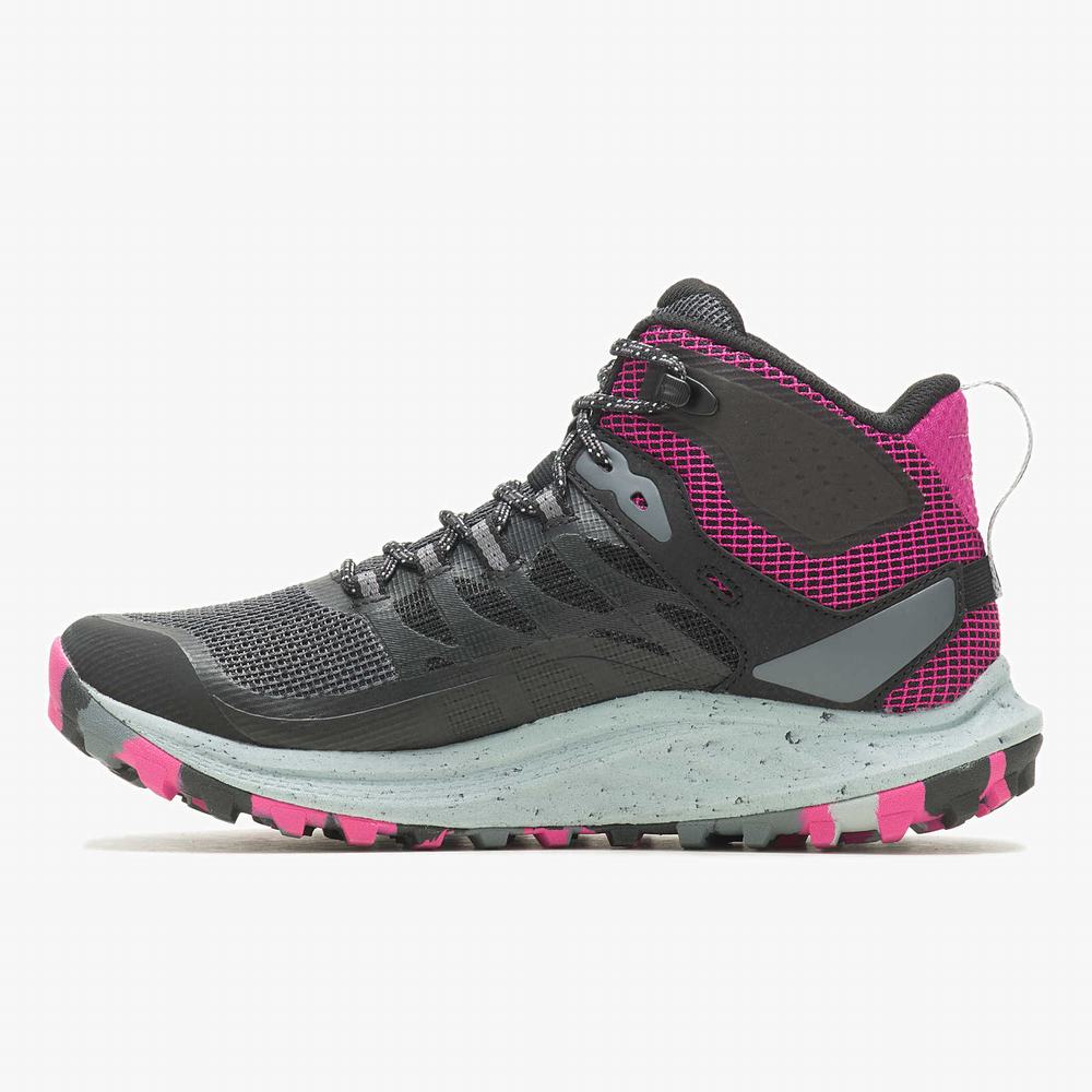 Women's Merrell Antora 3 Mid Waterproof Hiking Boots Black / Fuchsia Sale Outlet | MTDZR-1784